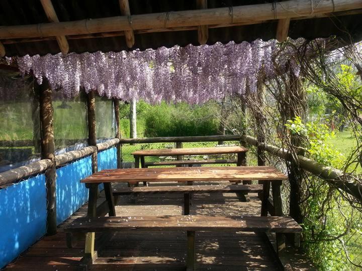 Cabanas Faro Delta ティグレ エクステリア 写真